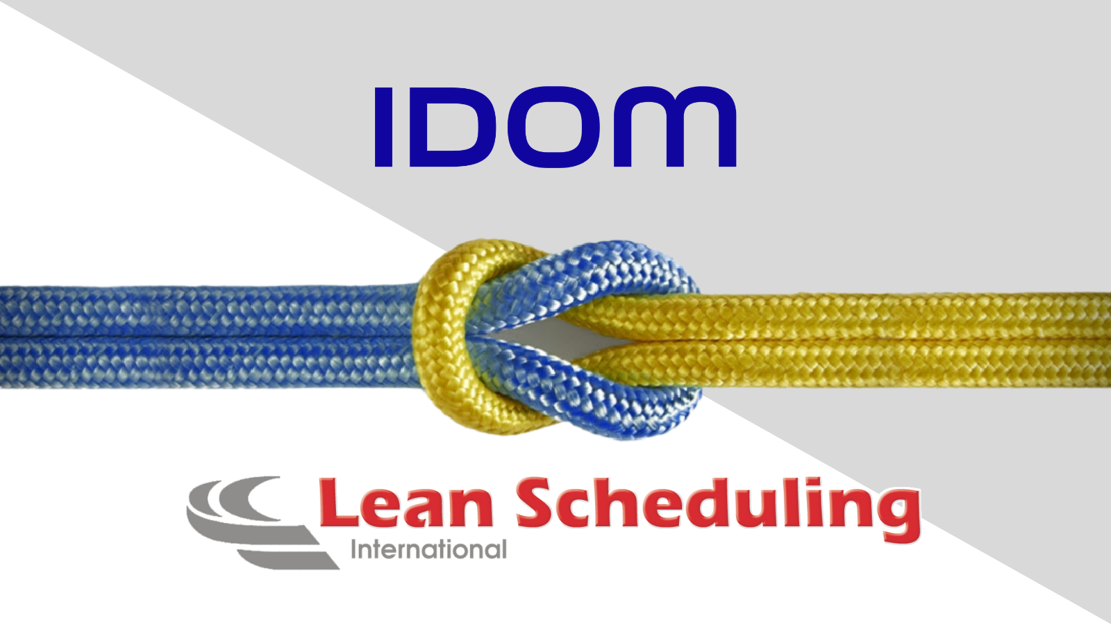 LSI & IDOM